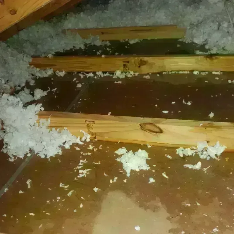 Attic Water Damage in Duncanville, TX