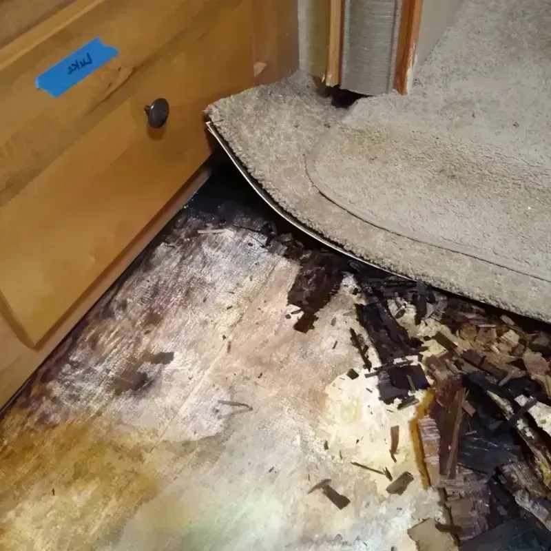 Wood Floor Water Damage in Duncanville, TX